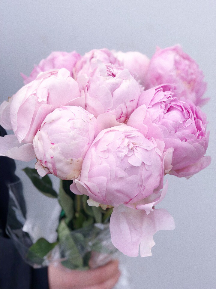 Prefere Fleur - květinářství foto 4