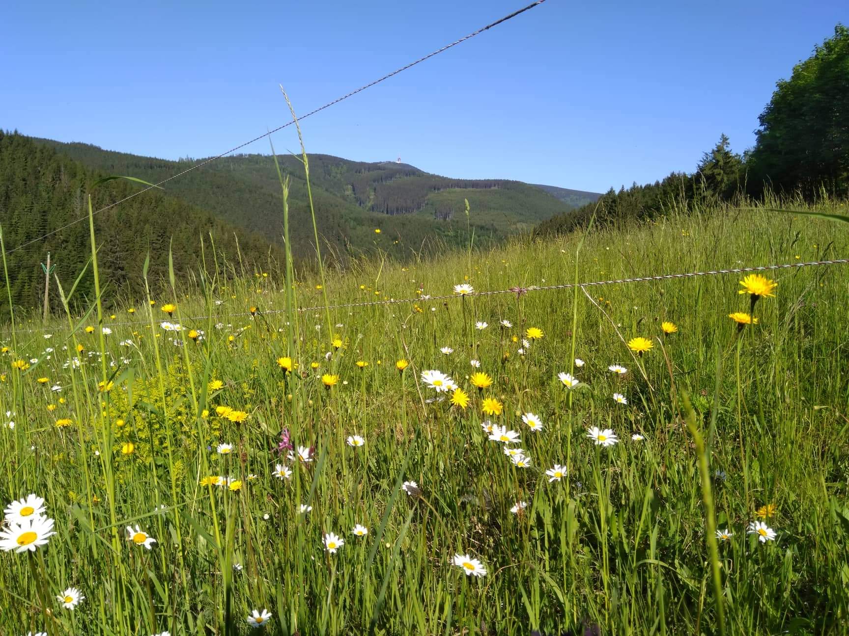 Horská chata Beskýdek III foto 4