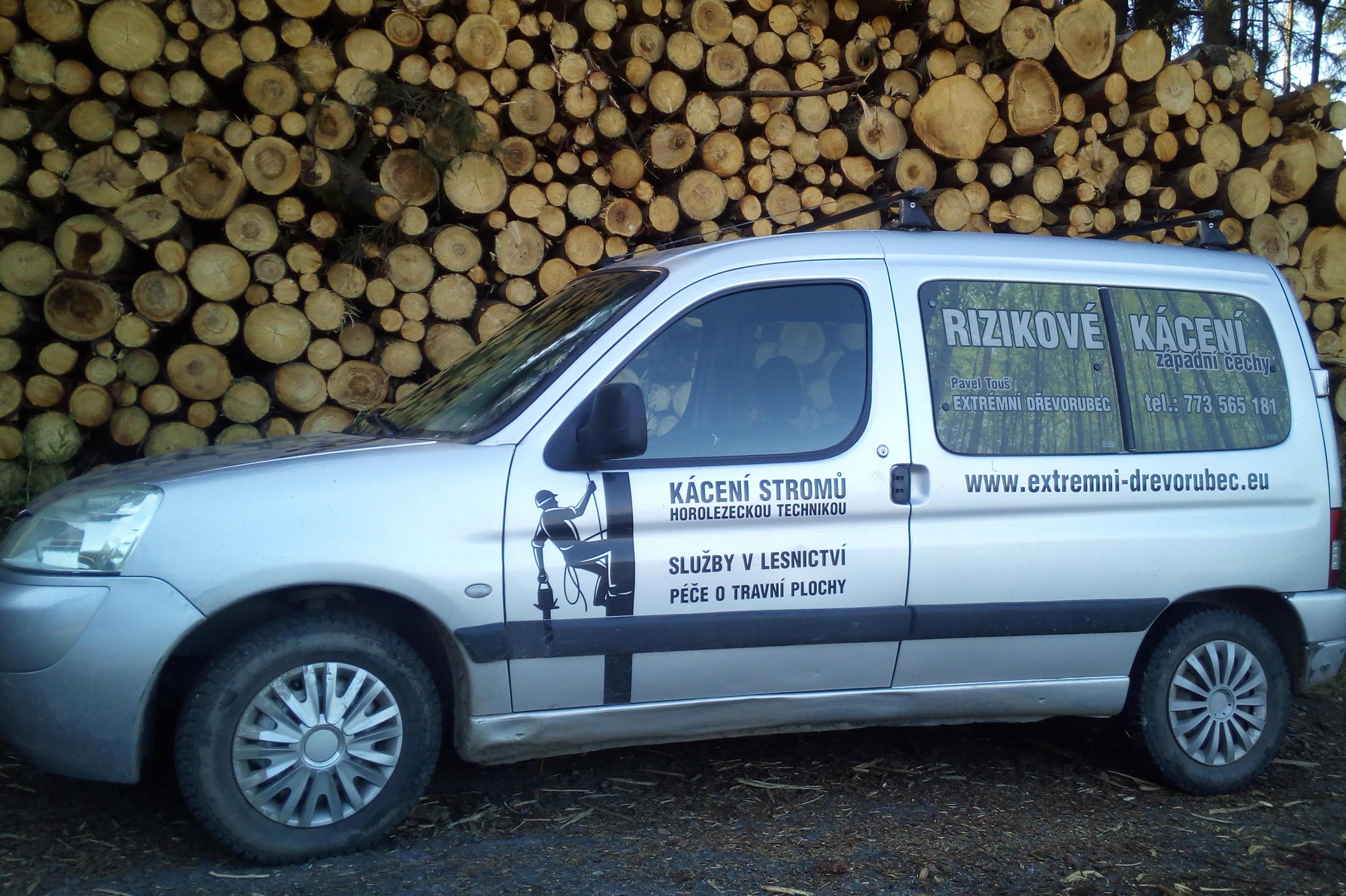 Rizikové Kácení stromů Pavel Touš