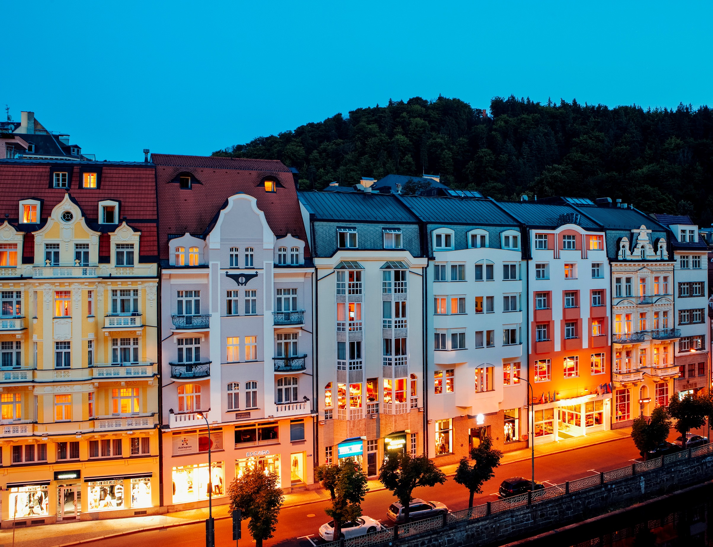 Dvorak Spa & Wellness Hotel foto 4