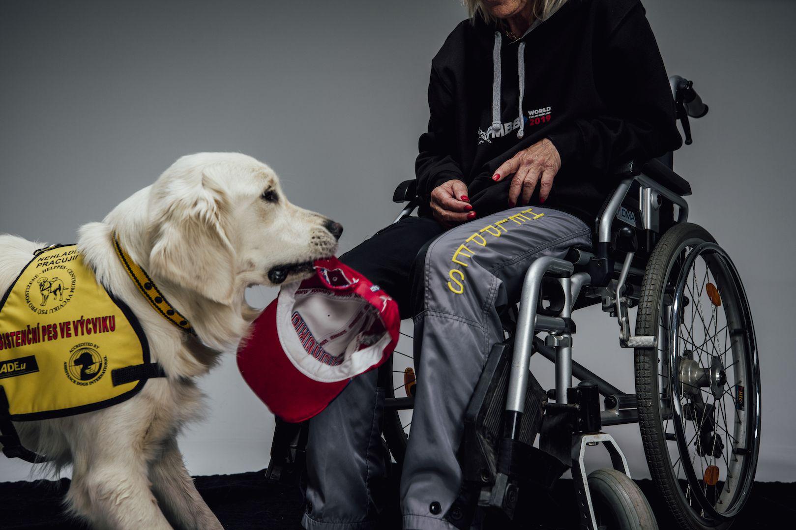 Helppes - Centrum výcviku psů pro postižené, o.p.s.