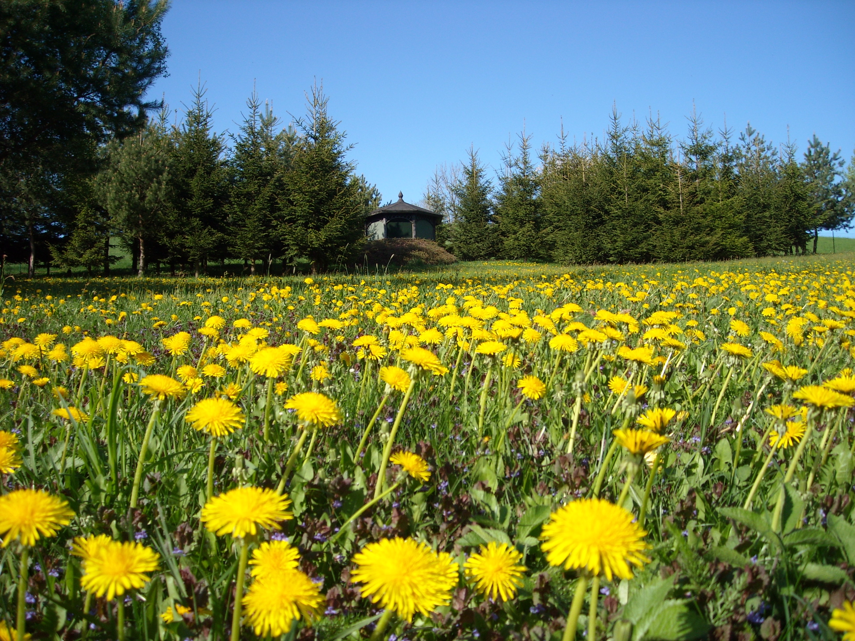 Rezidence Náčkovice foto 2