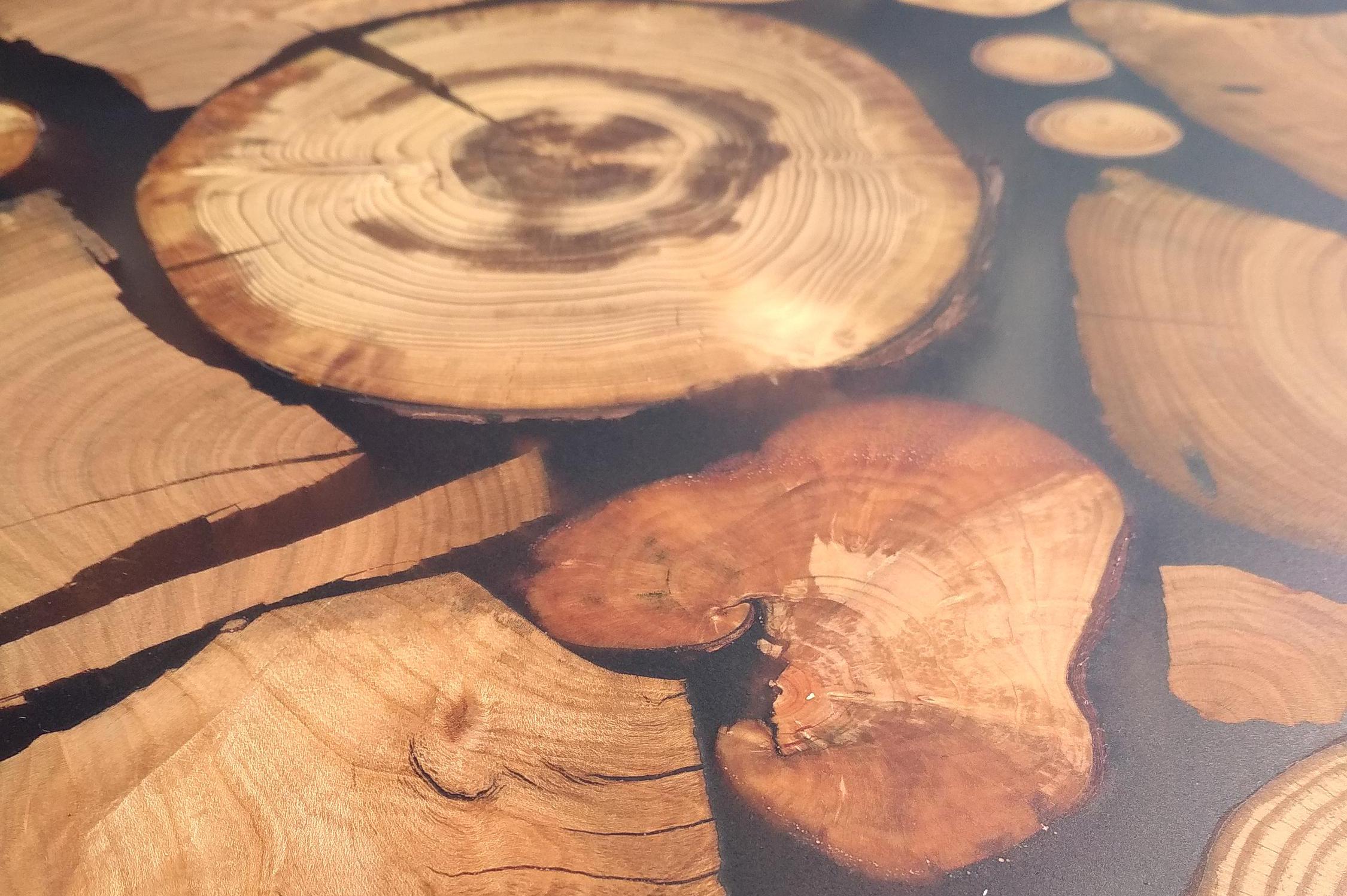 Truhlářství Šibor, s.r.o.