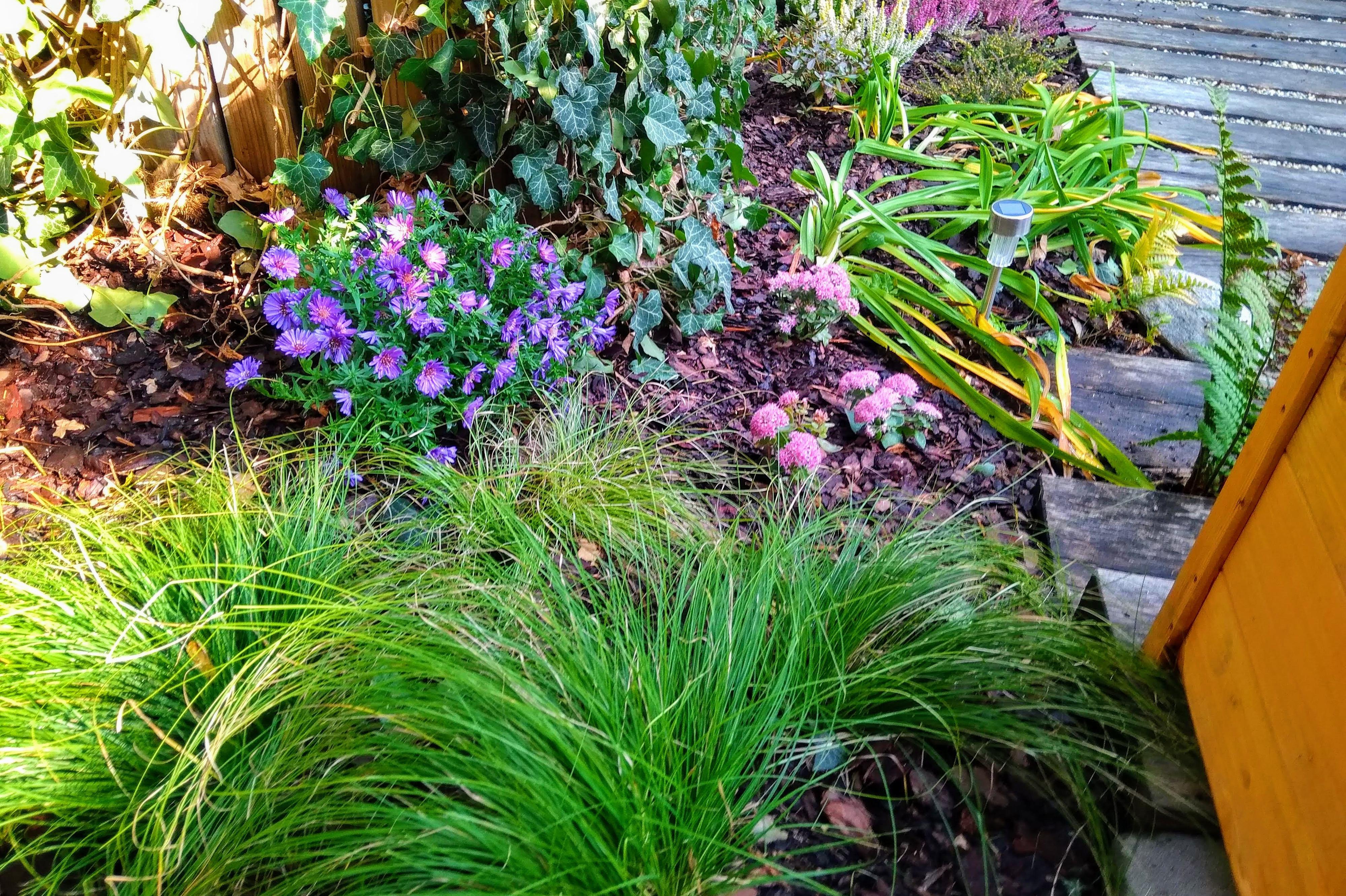 Roman Nakielný foto 1