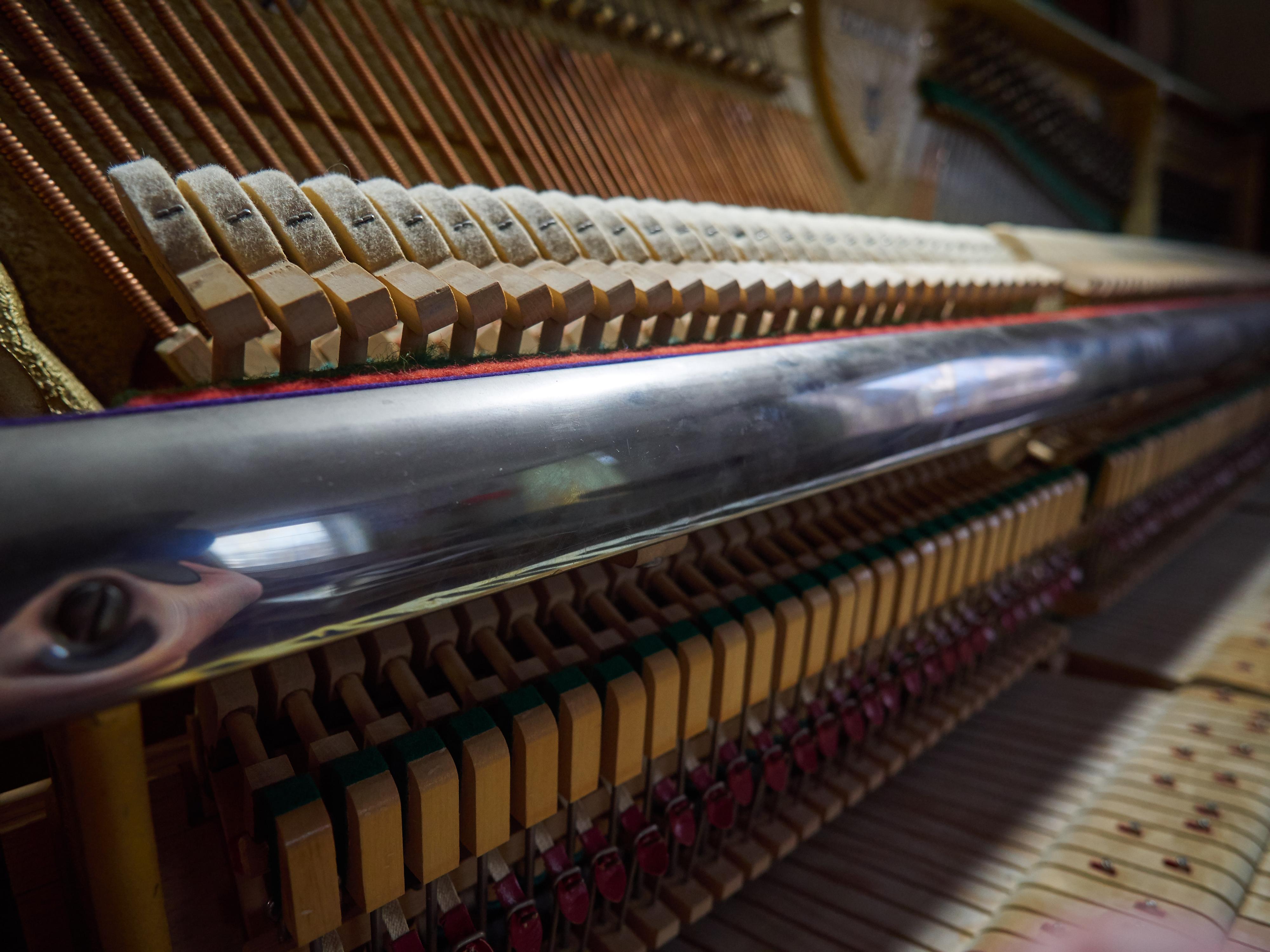 Pianoservis Vít Šobáň foto 4