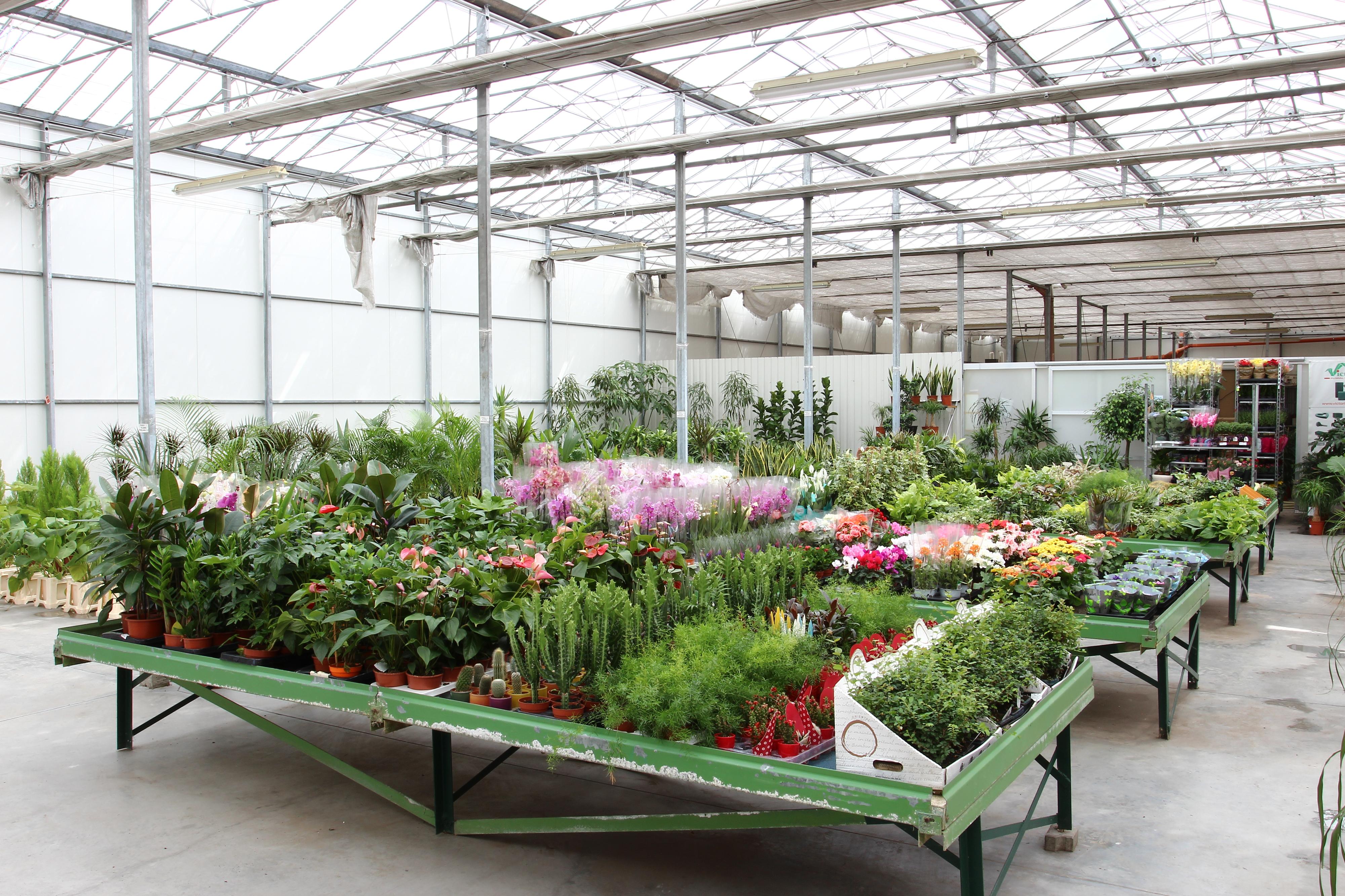 FLORPLANT, s.r.o. foto 2