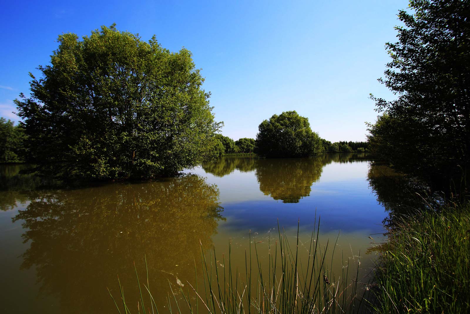 Rybaření Rpety-Hatě foto 6