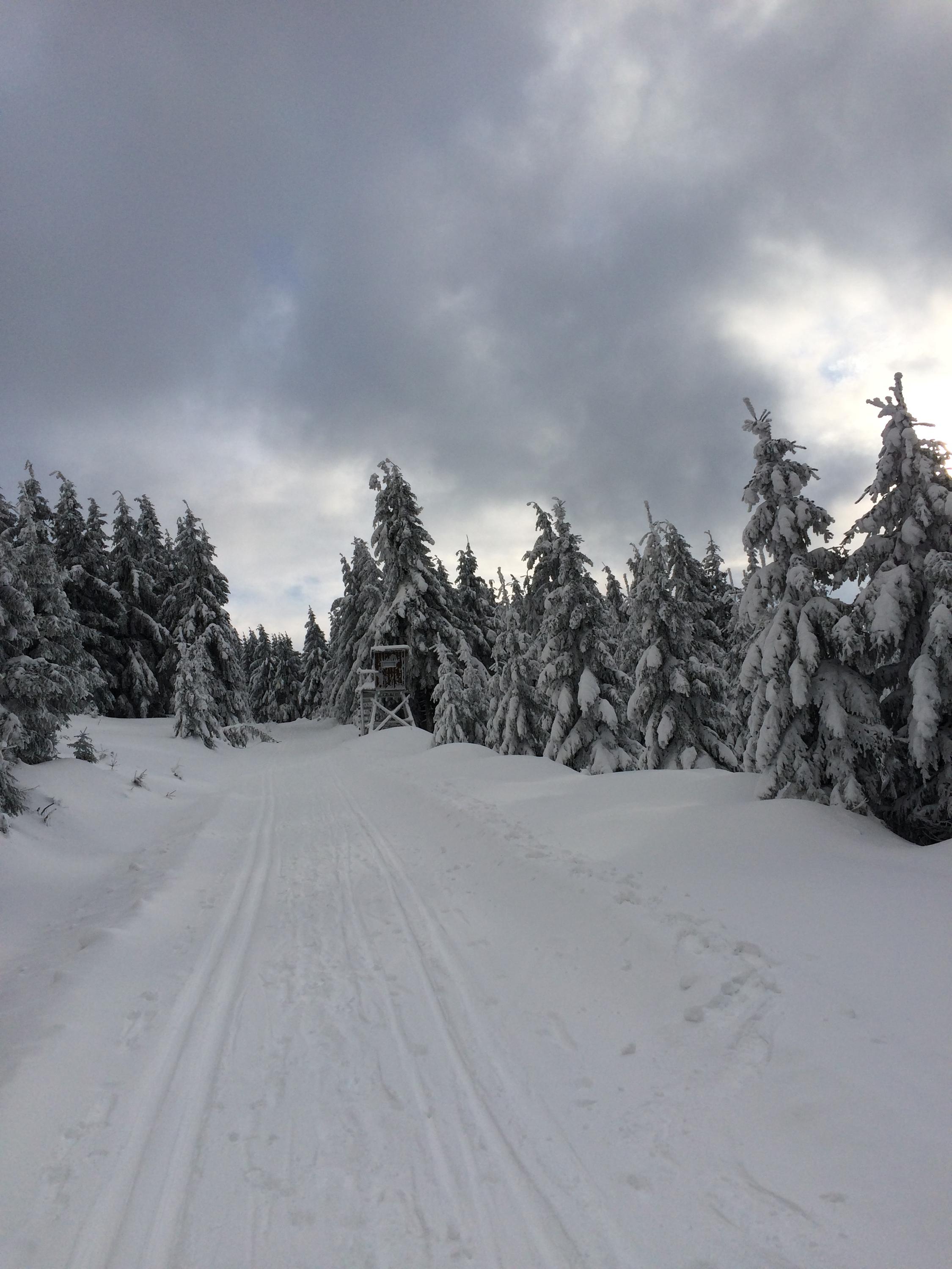 Apartmán Říčky U Sněžného Lva foto 6