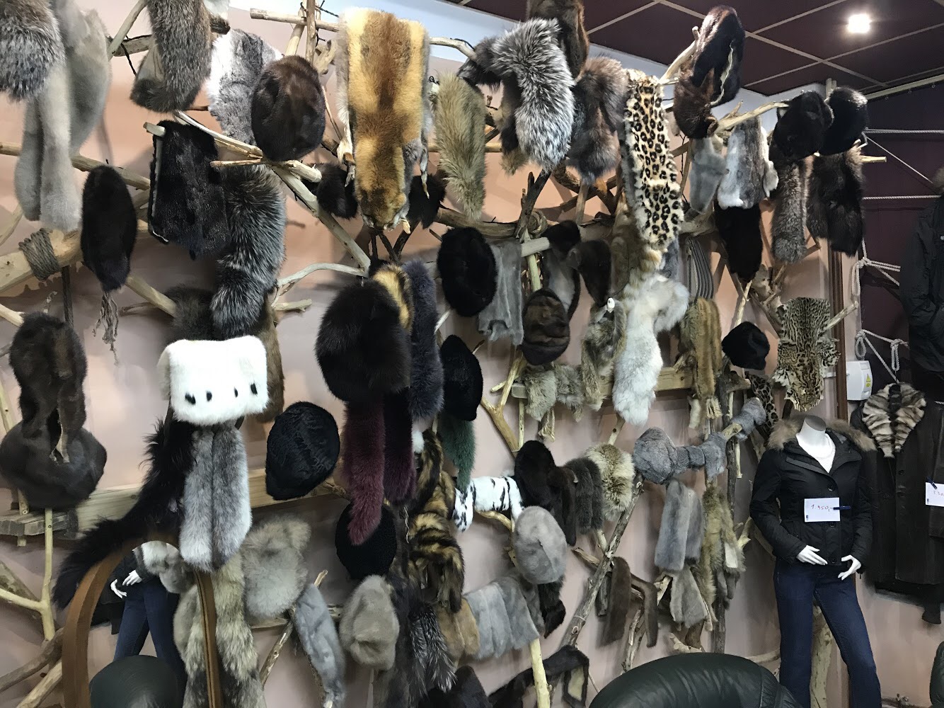 Kožešiny-levně.cz foto 2