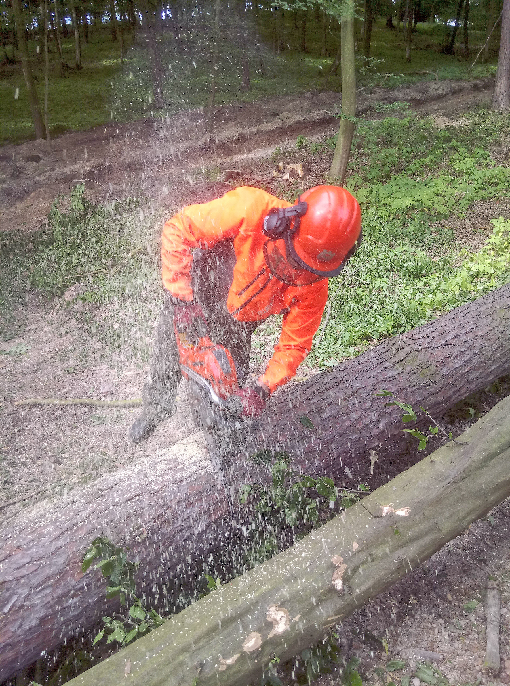 Petra Felgrová, kurzy-pily s.r.o. foto 4