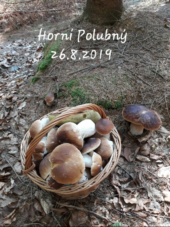 Chalupa U Smrku foto 2