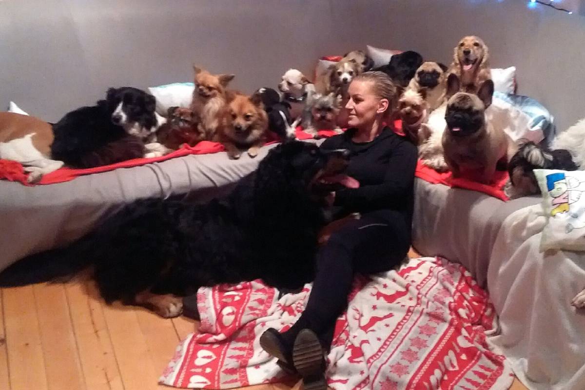 Hotel a školka pro psy Dalmond