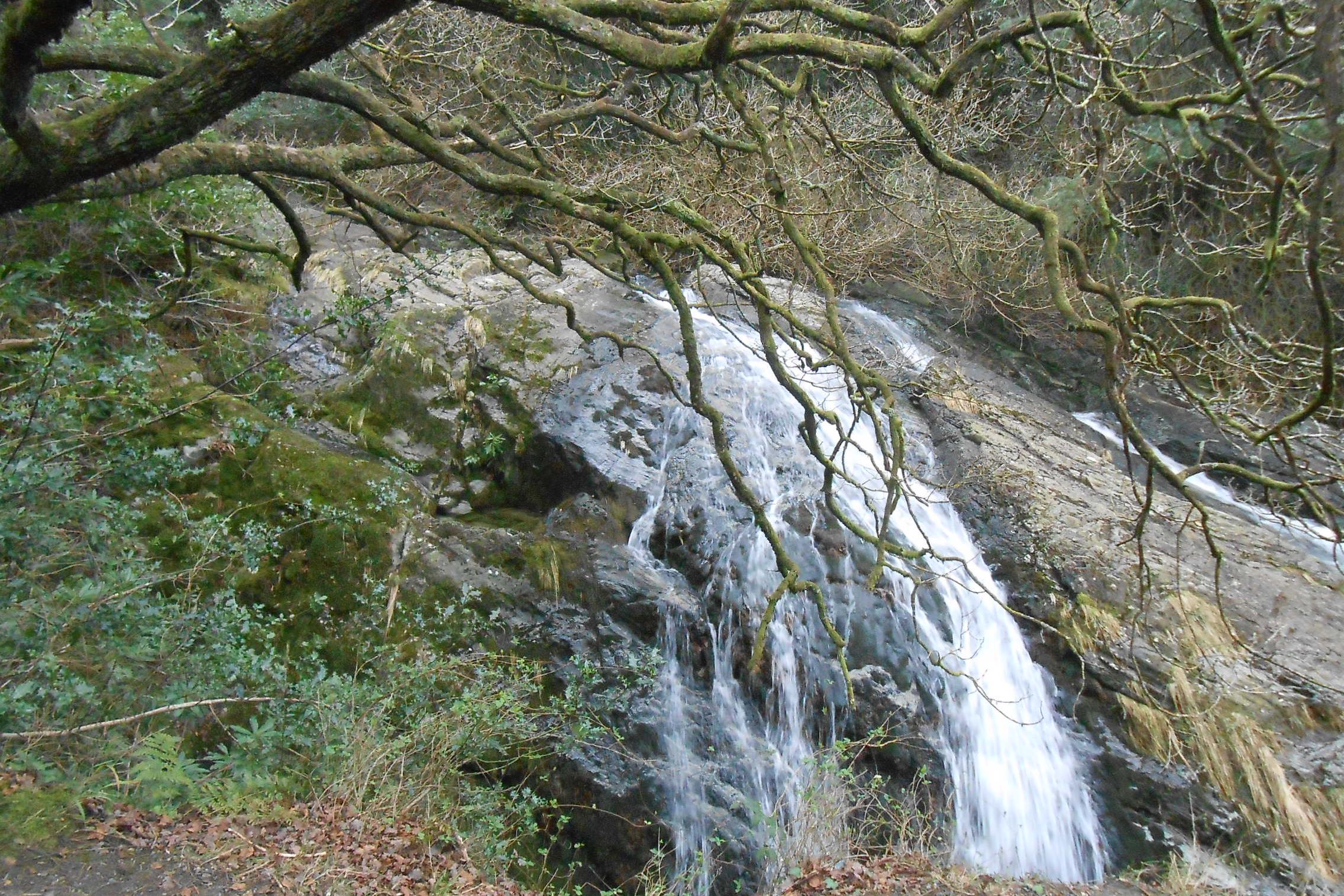 A H2O - RNDr. Ivana Ringsmuthová