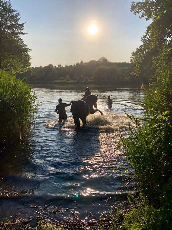 Ranč Kami z.s foto 2