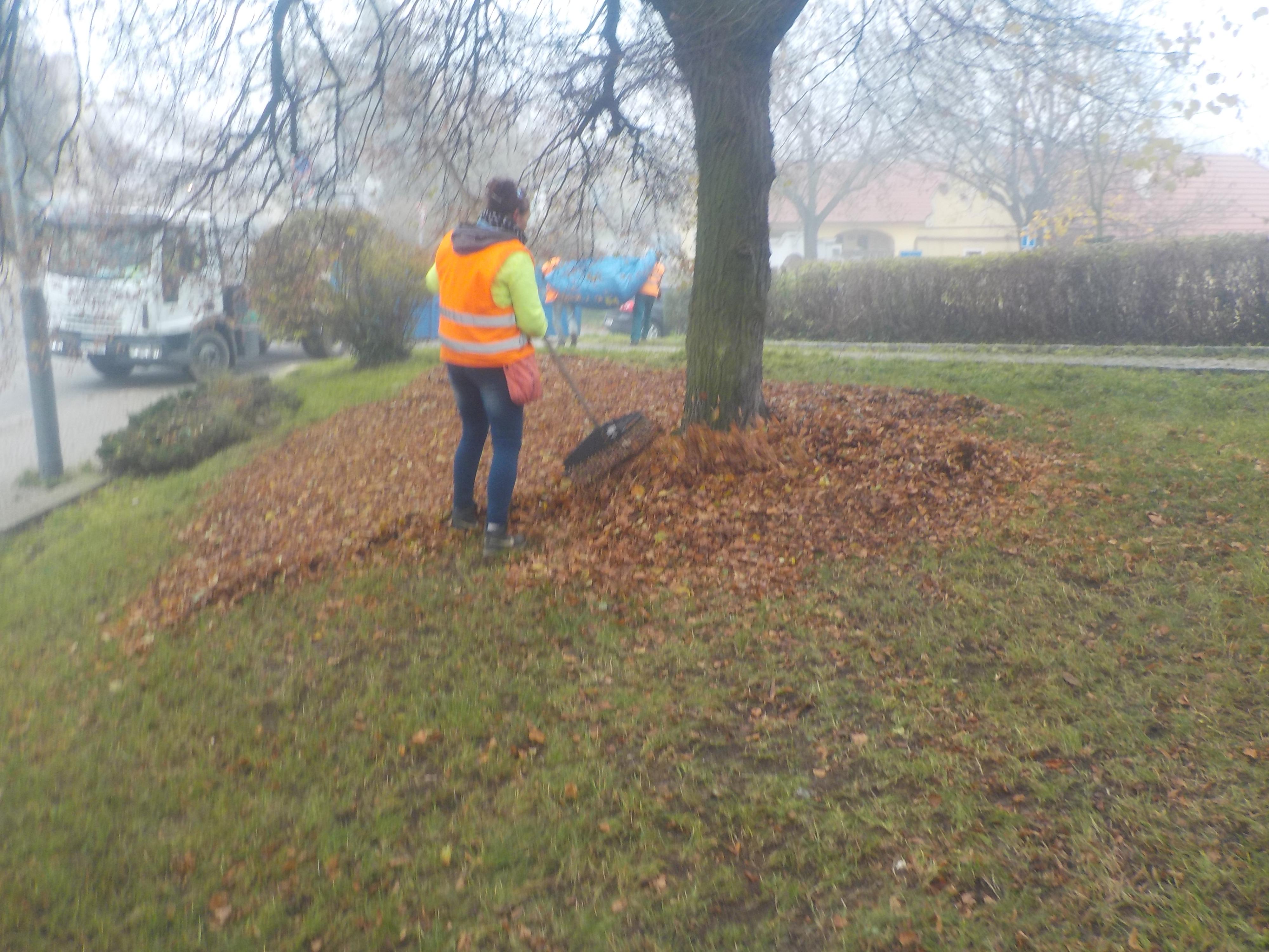 I.Z.A.P- Odvoz odpadu foto 2