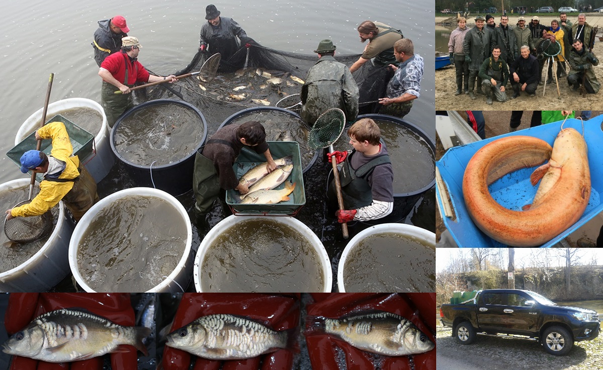 Rybářský klub České republiky foto 2