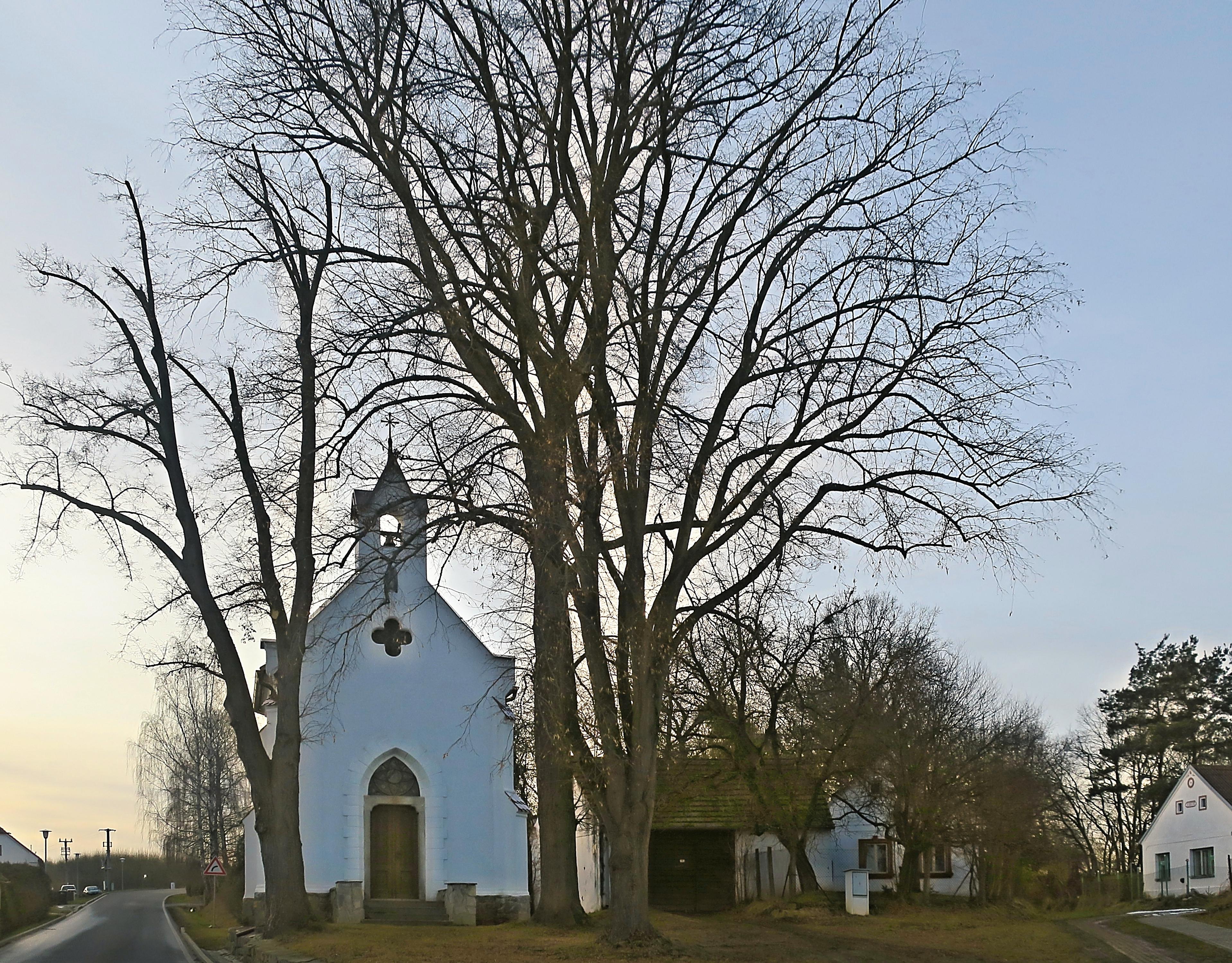 Borovnice - obecní úřad foto 6