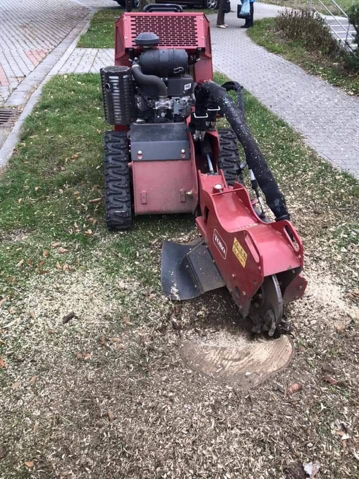 ZDERO foto 3