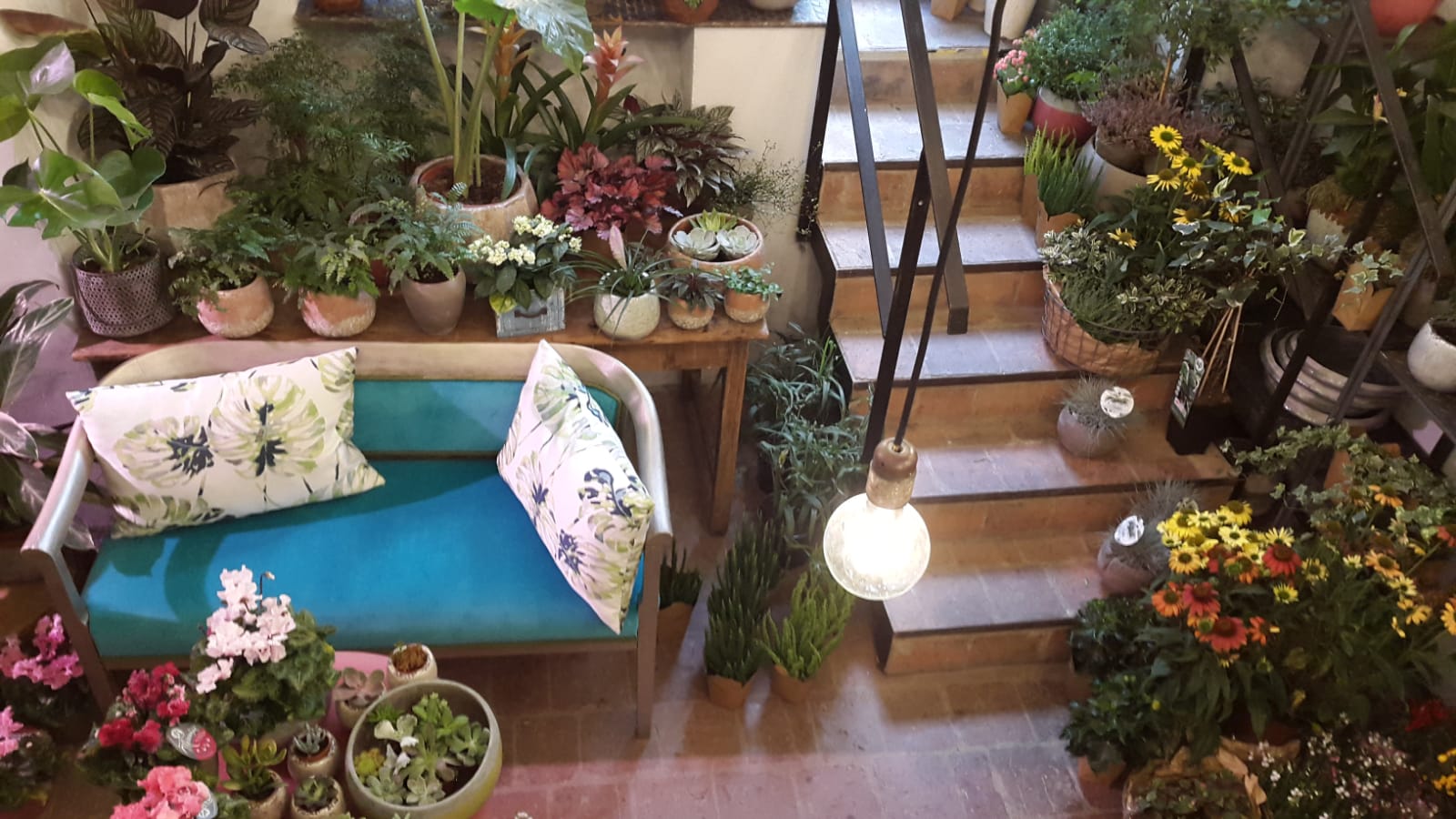 Květinová dílna Luka:sh foto 4