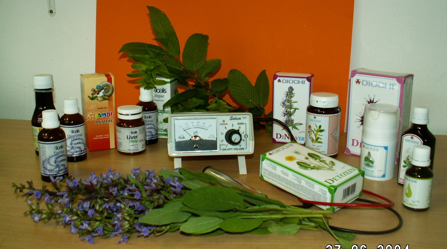Detoxikace a výživa foto 2