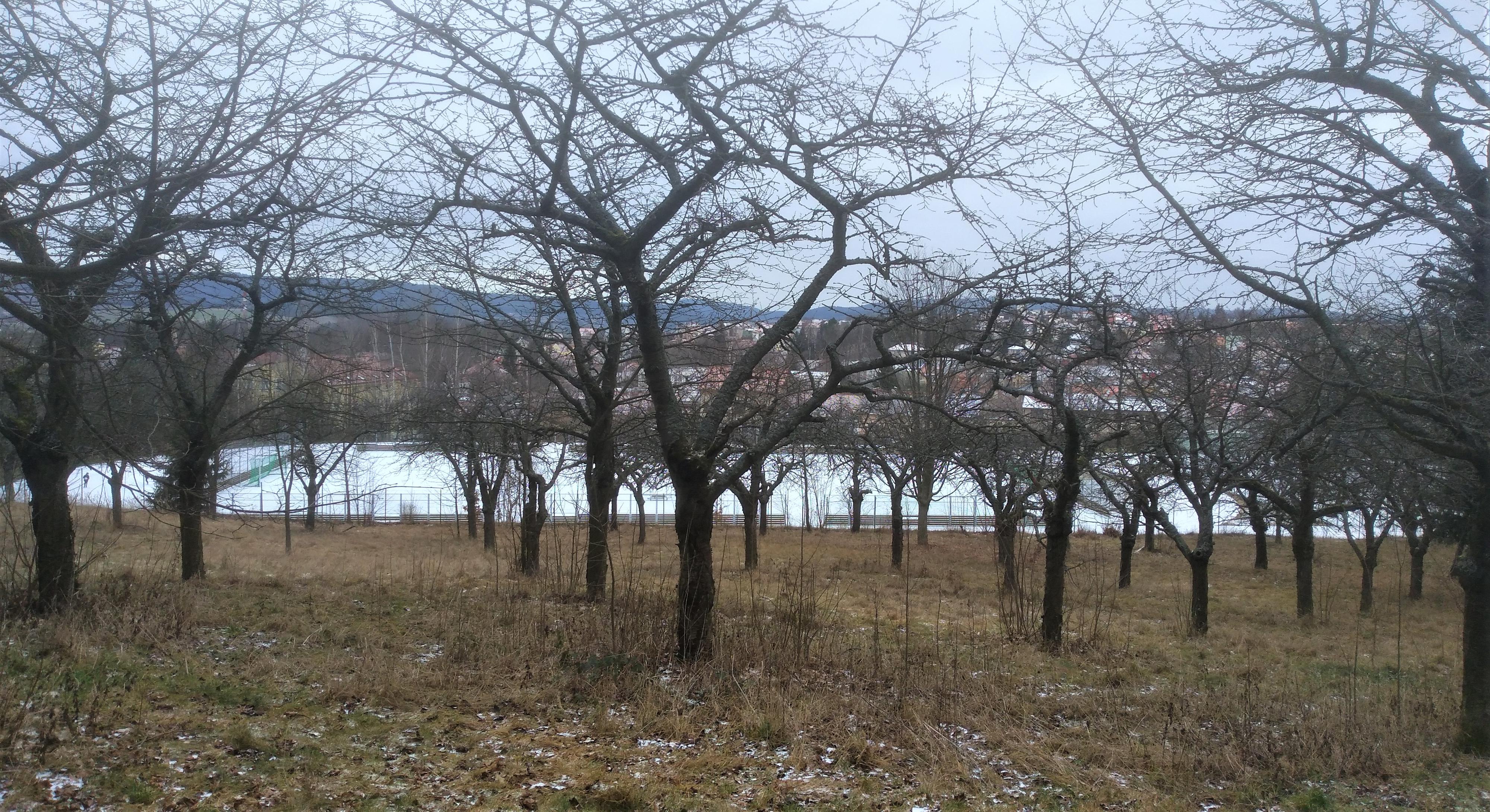 Sportovní areál pod Svatou Horou foto 2