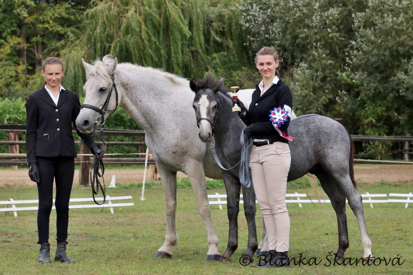 Diamond Czech Pony foto 5