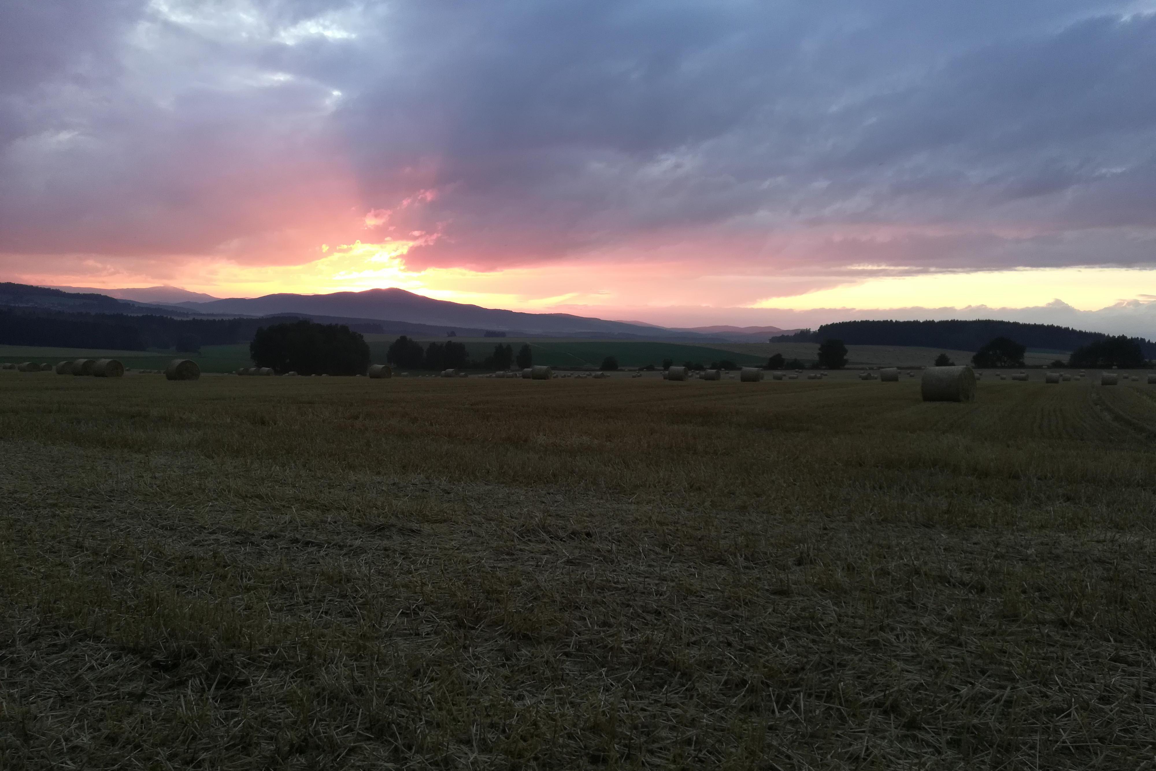 Zemědělské družstvo Netřebice