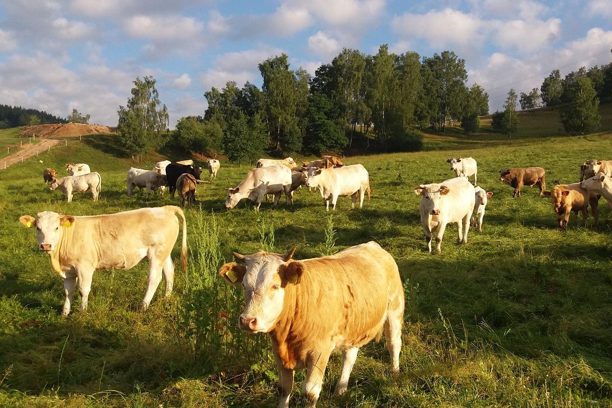 Ekofarma a jatka Tanvald - František Berka