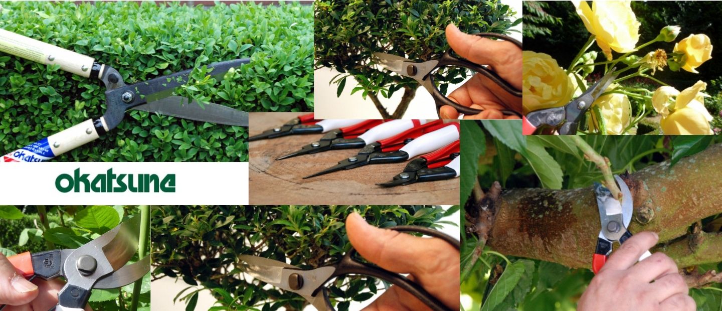 Bousekzahrady-eshop.cz foto 2