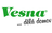 logo VESNA