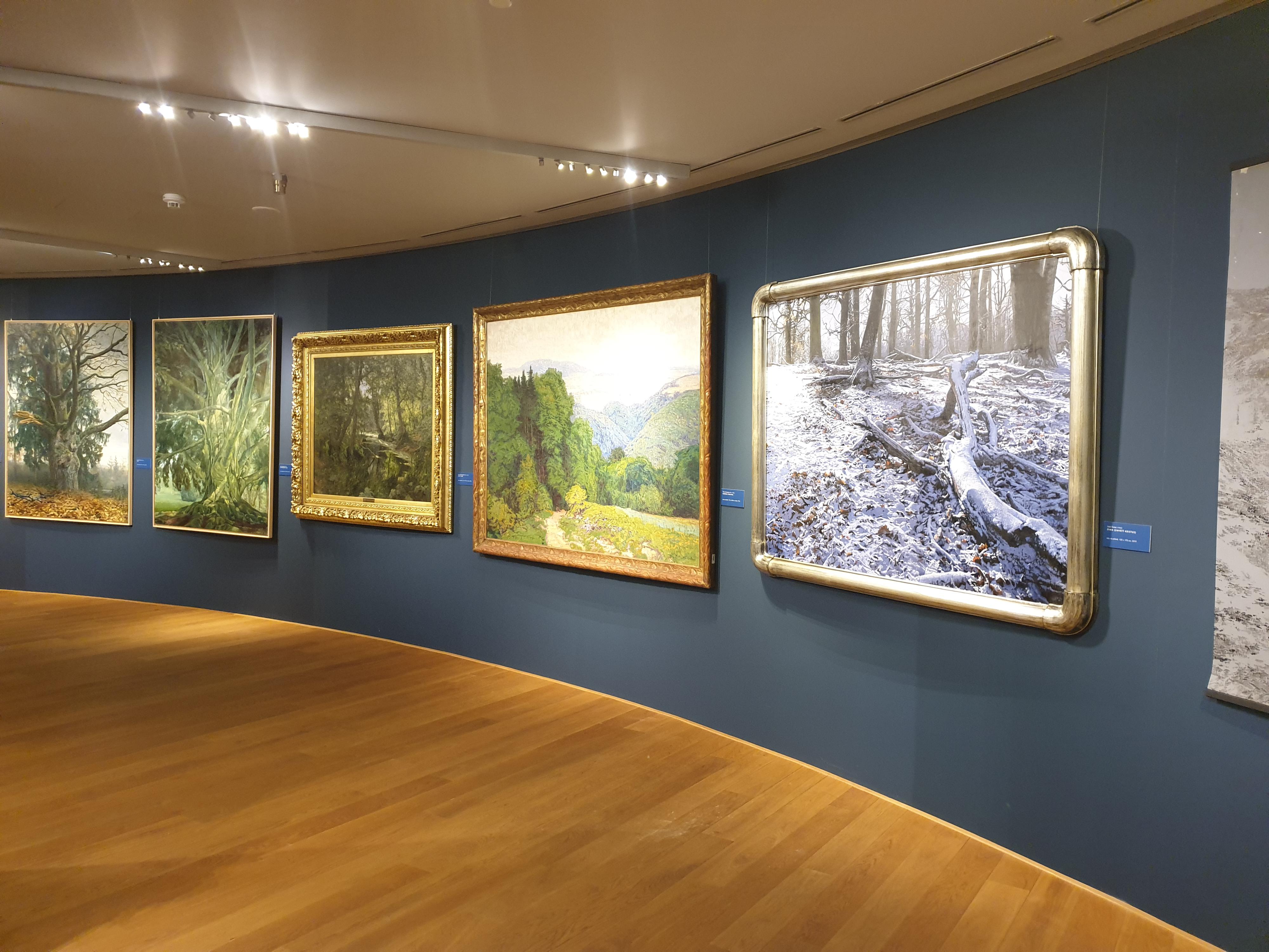 Kooperativa pojišťovna foto 4