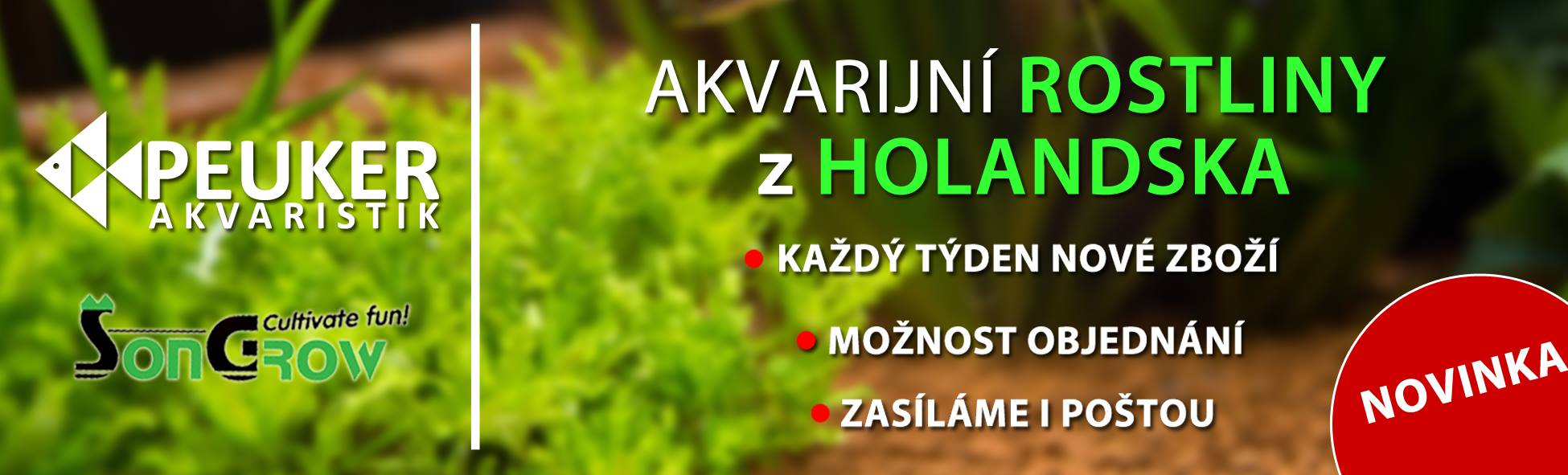 PEUKER Akvaristik foto 4