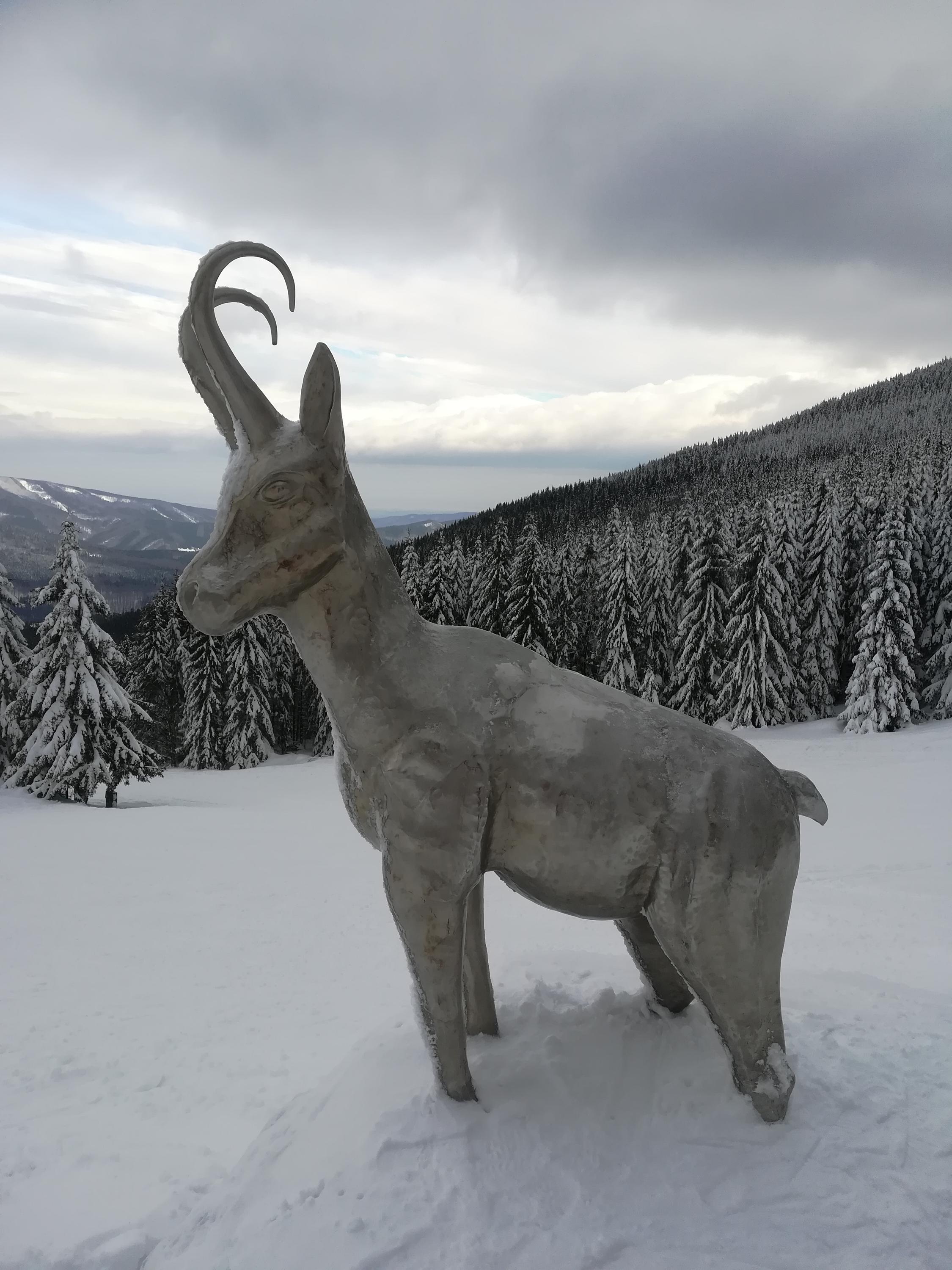 Kavárna Lilly na Čerňavě foto 3