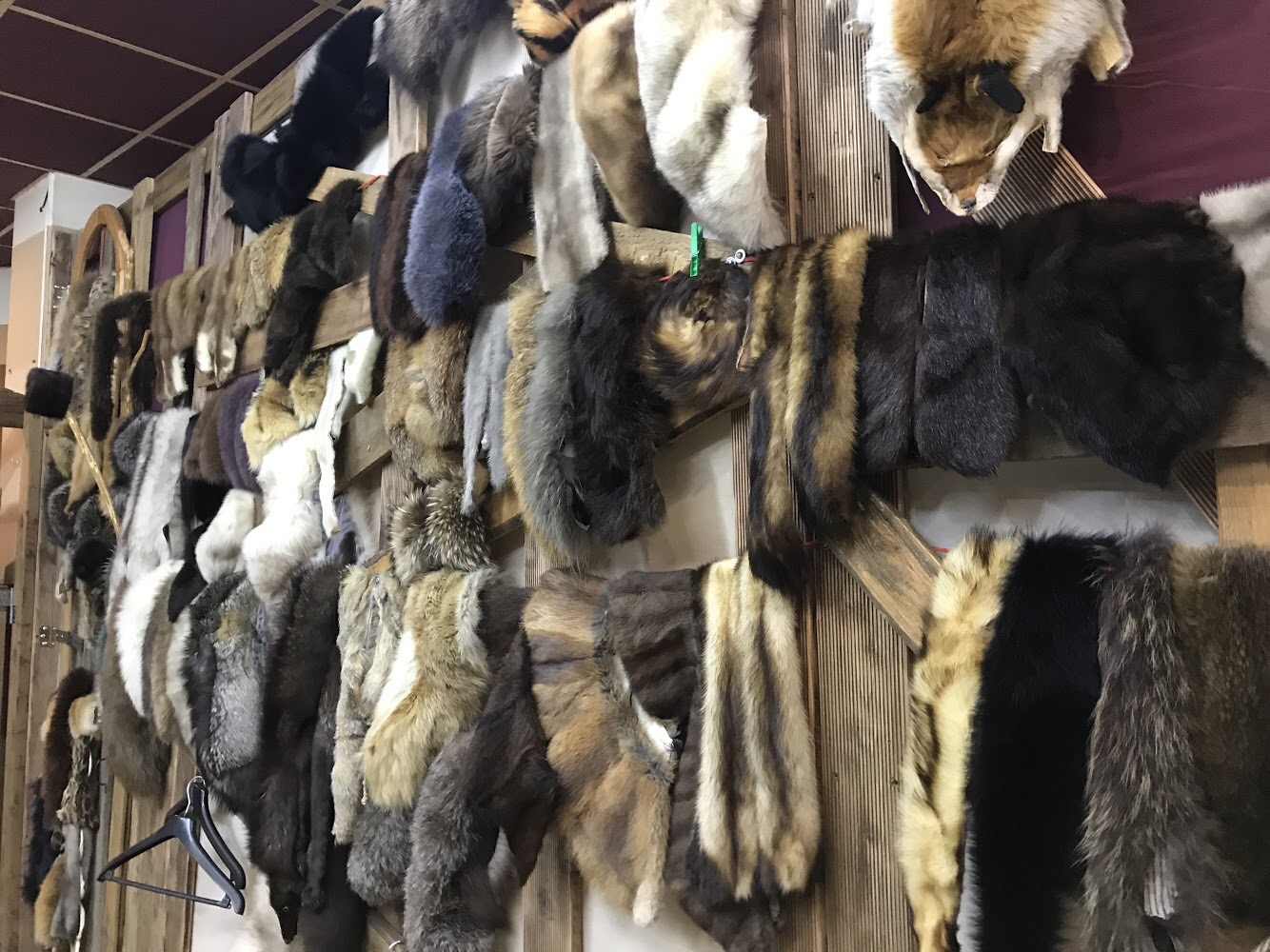 Kožešiny-levně.cz foto 4