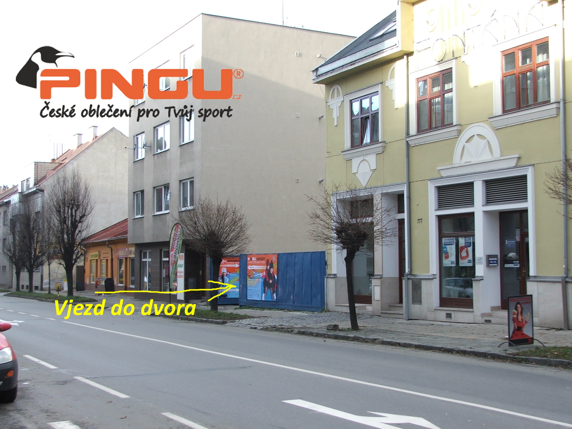 PINGU SPORT foto 2