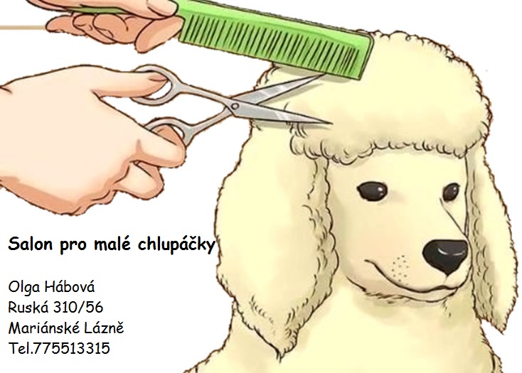 Salon pro malé chlupáčky foto 2