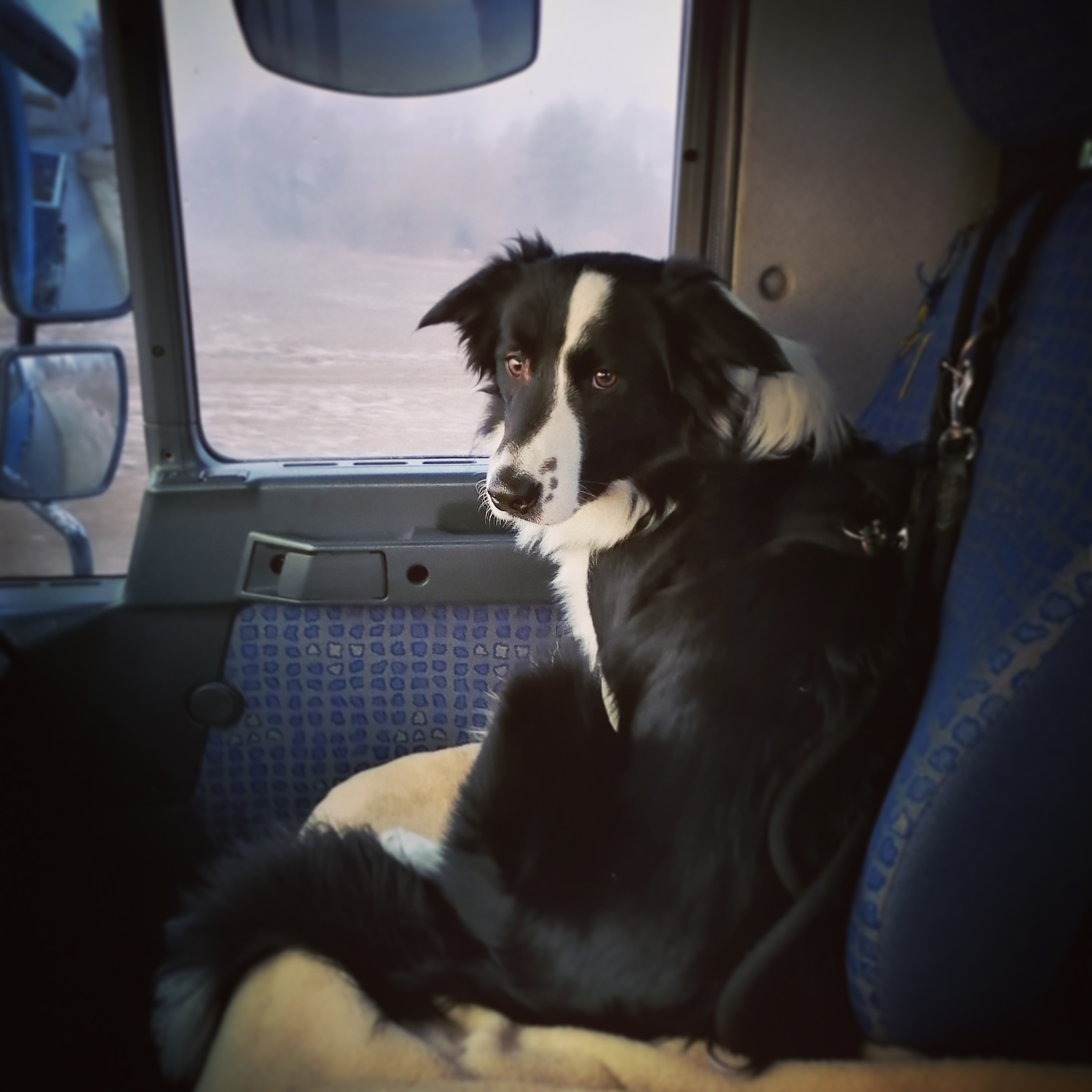 Kontejnery Šumperk foto 2