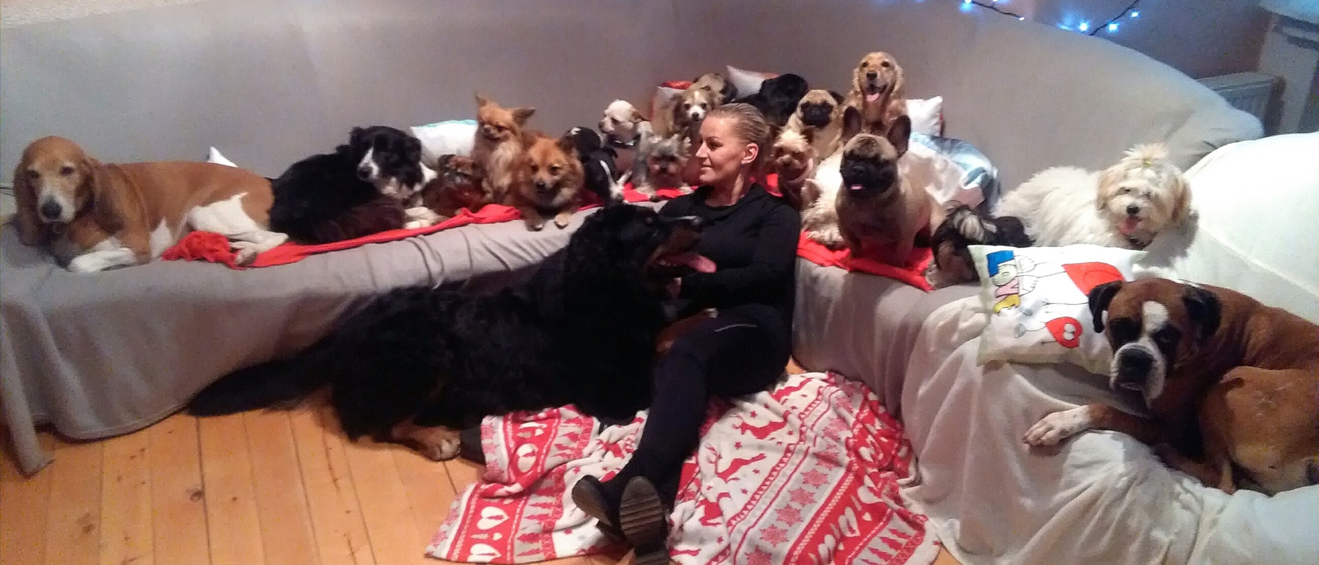 Hotel a školka pro psy Dalmond foto 2