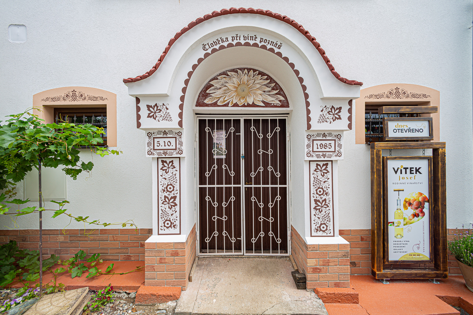 Penzion Šarlota & Vinařství Vítek Josef foto 4