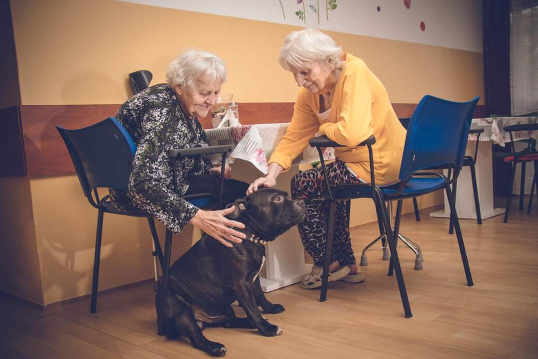 Domov Arreta o.p.s. foto 2