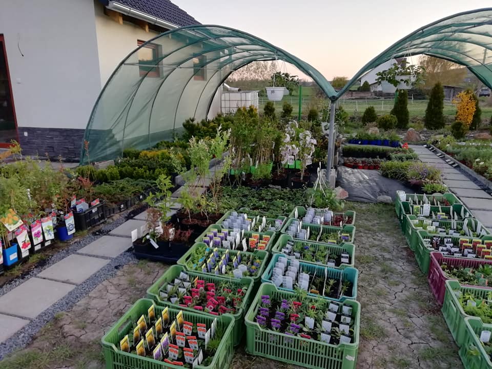 Zahradnictví Florana foto 6