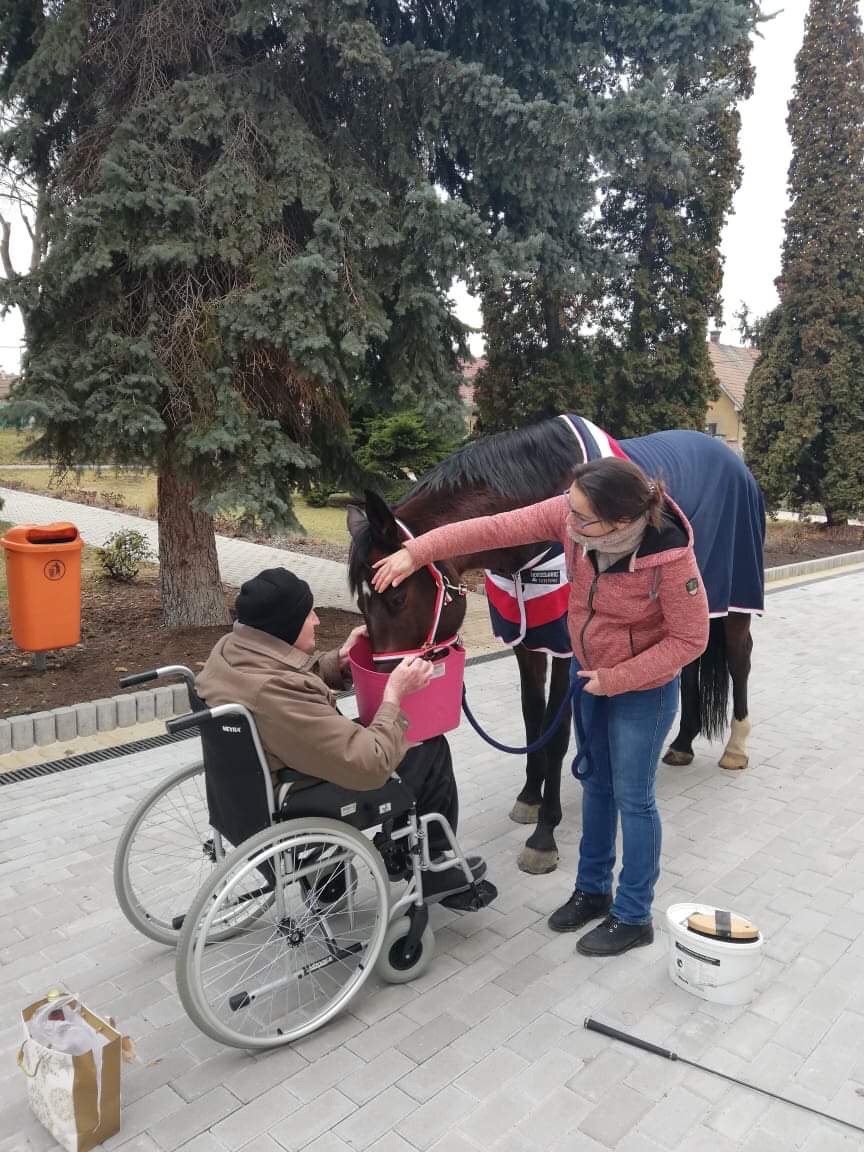 Asistenční jednorožec z.s. foto 2