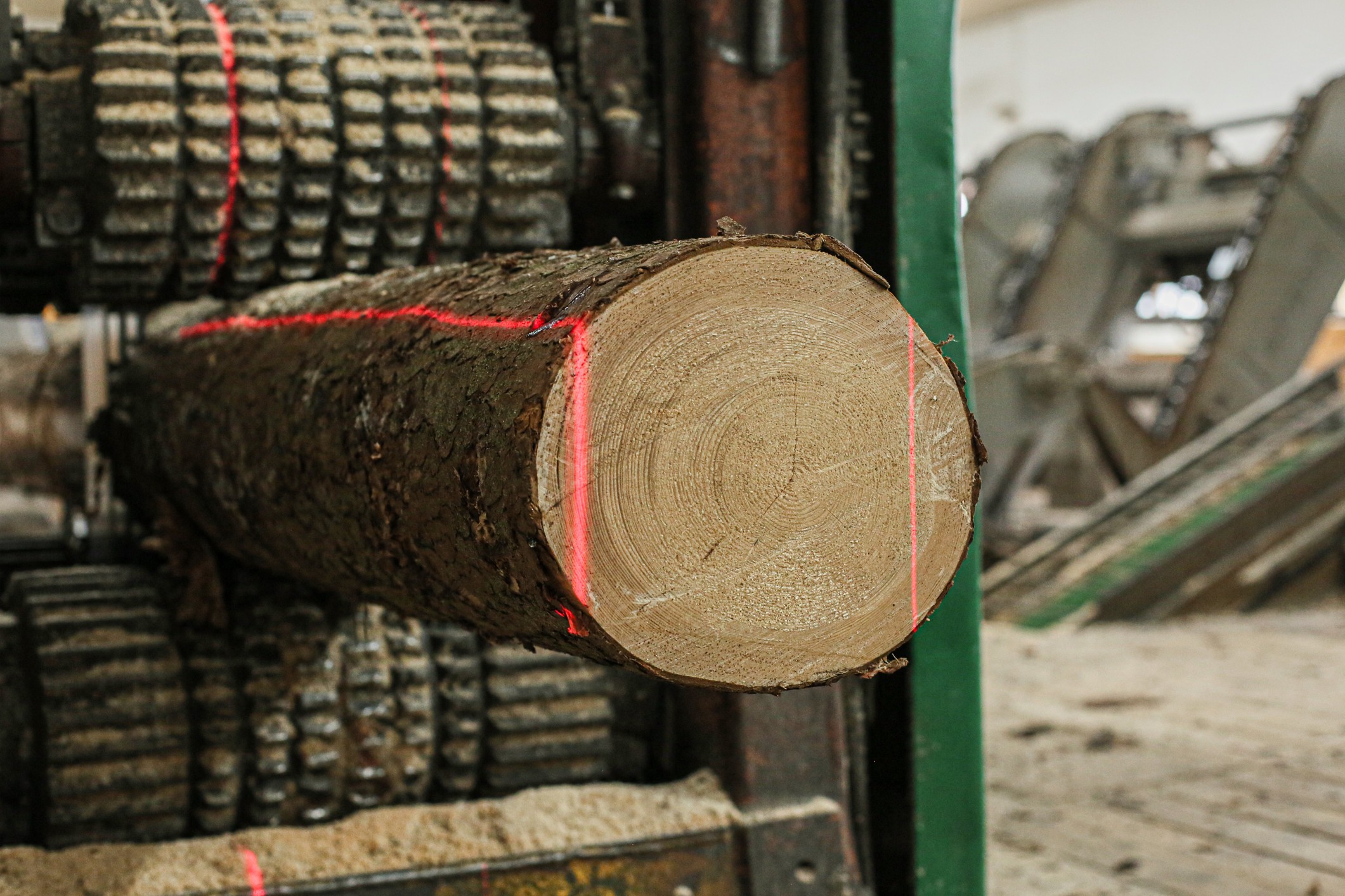 KLAUS Timber, a.s. foto 5
