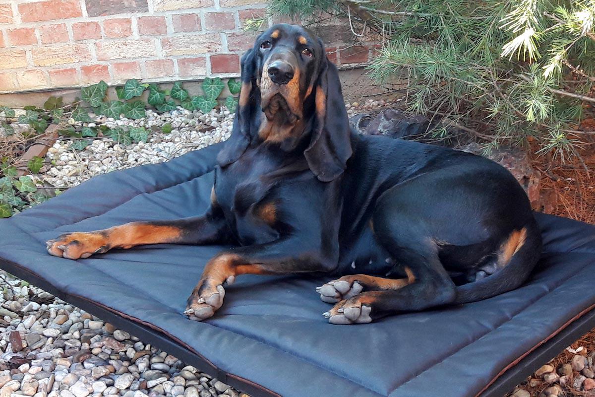 Anadi - lehátka pro psy