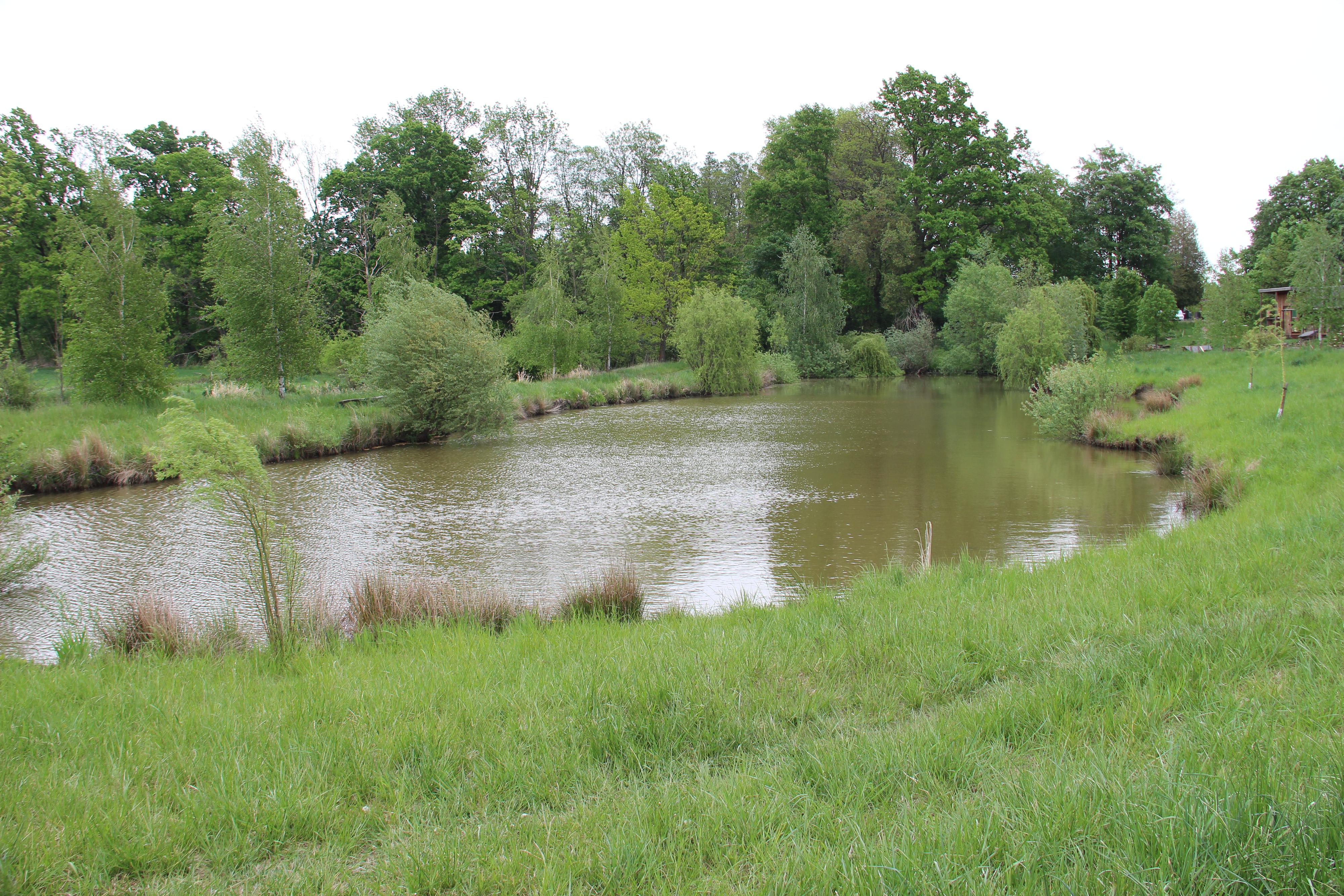 Lesní mateřská škola Bažinka foto 5