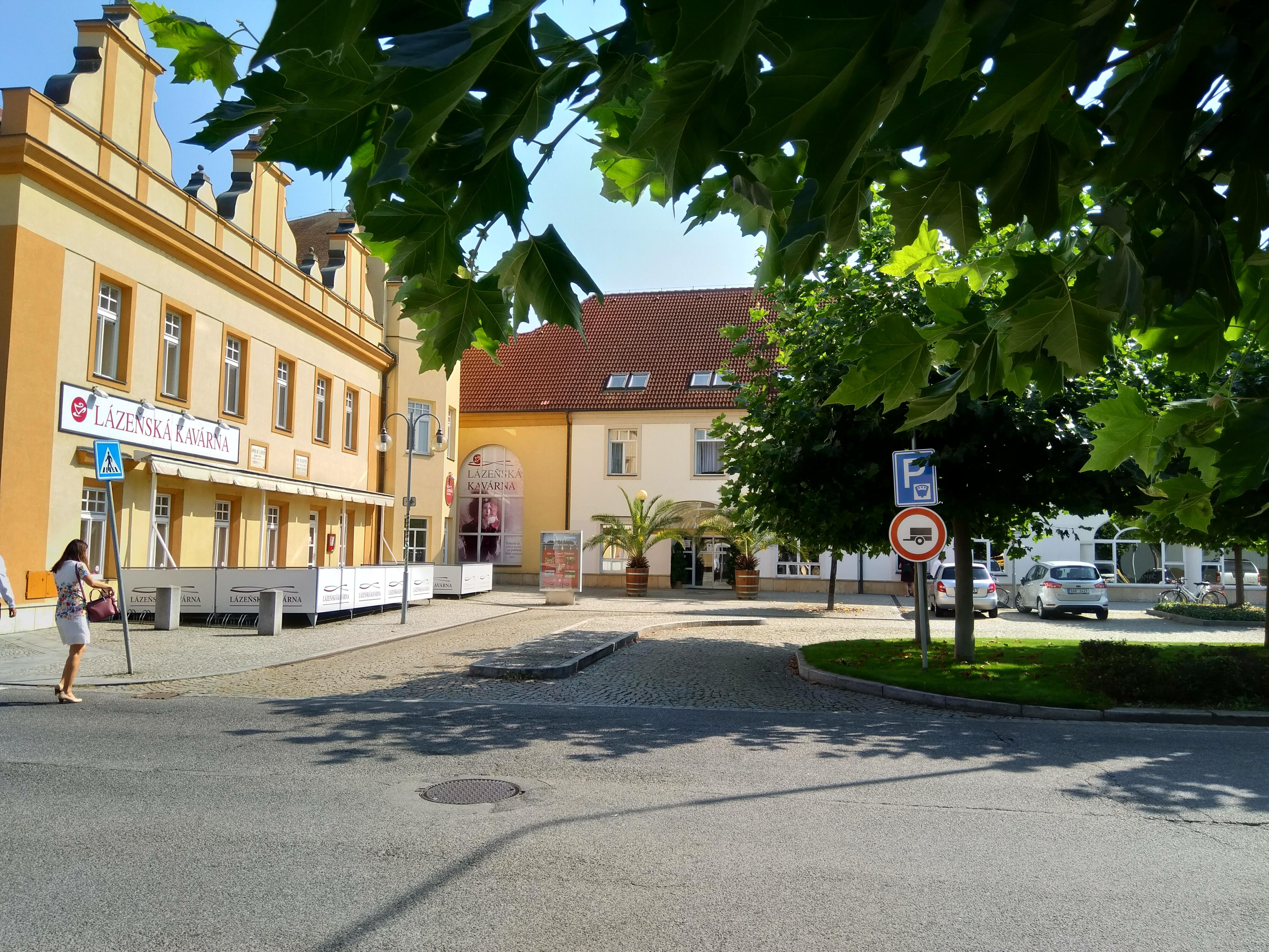 Kavárna Léčebné lázně Bohdaneč foto 3