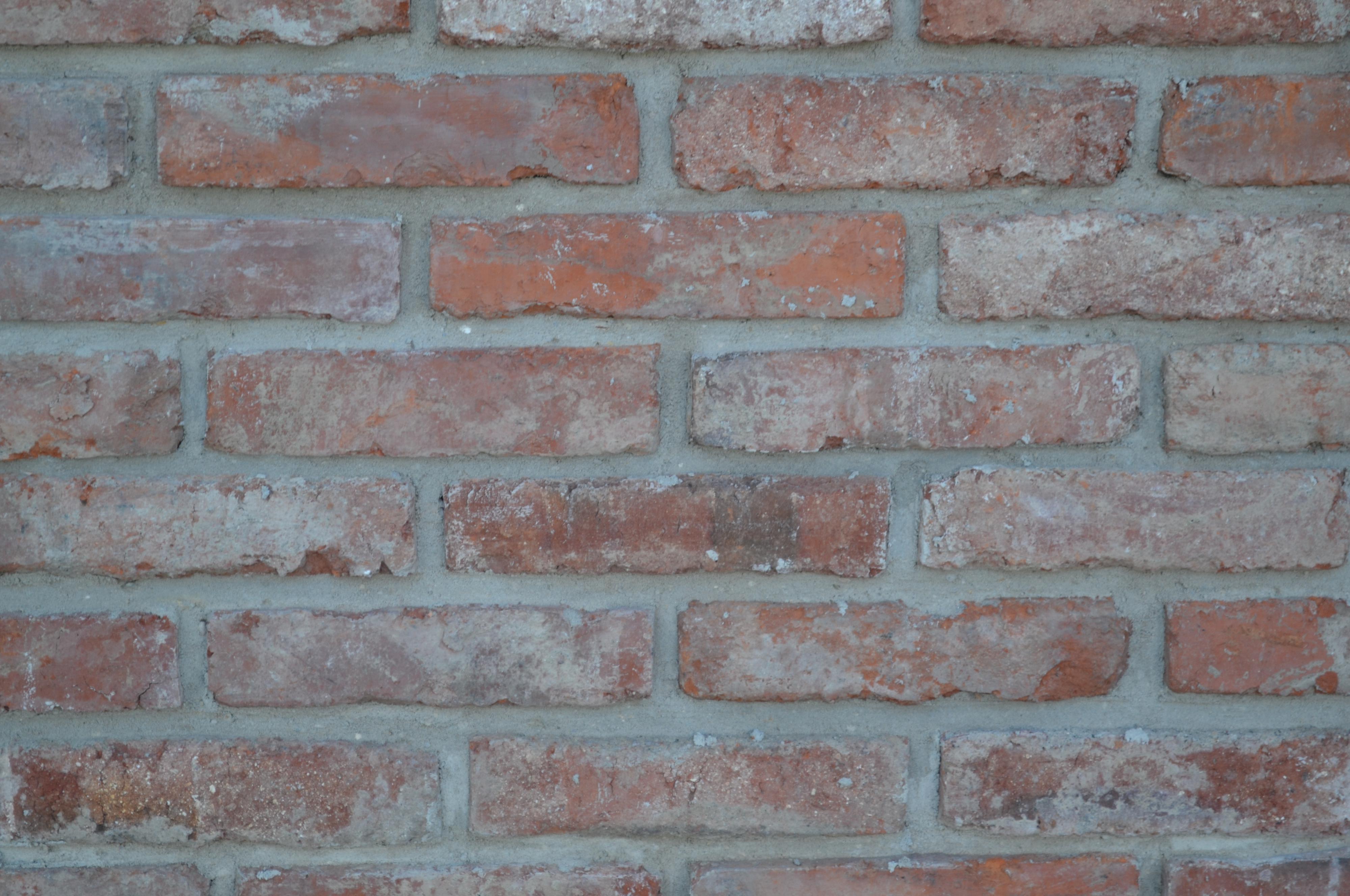 Zednické práce - Pavel Poloprutský