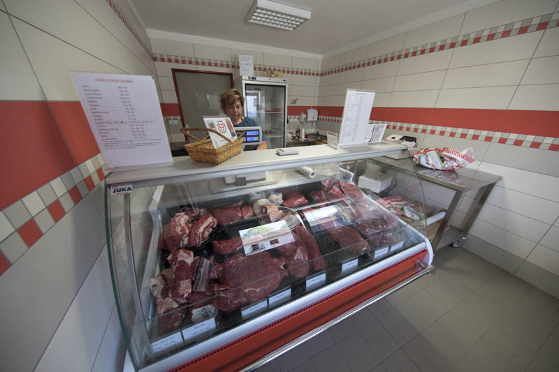 MARTIN NOVOTNÝ soukromý zemědělec