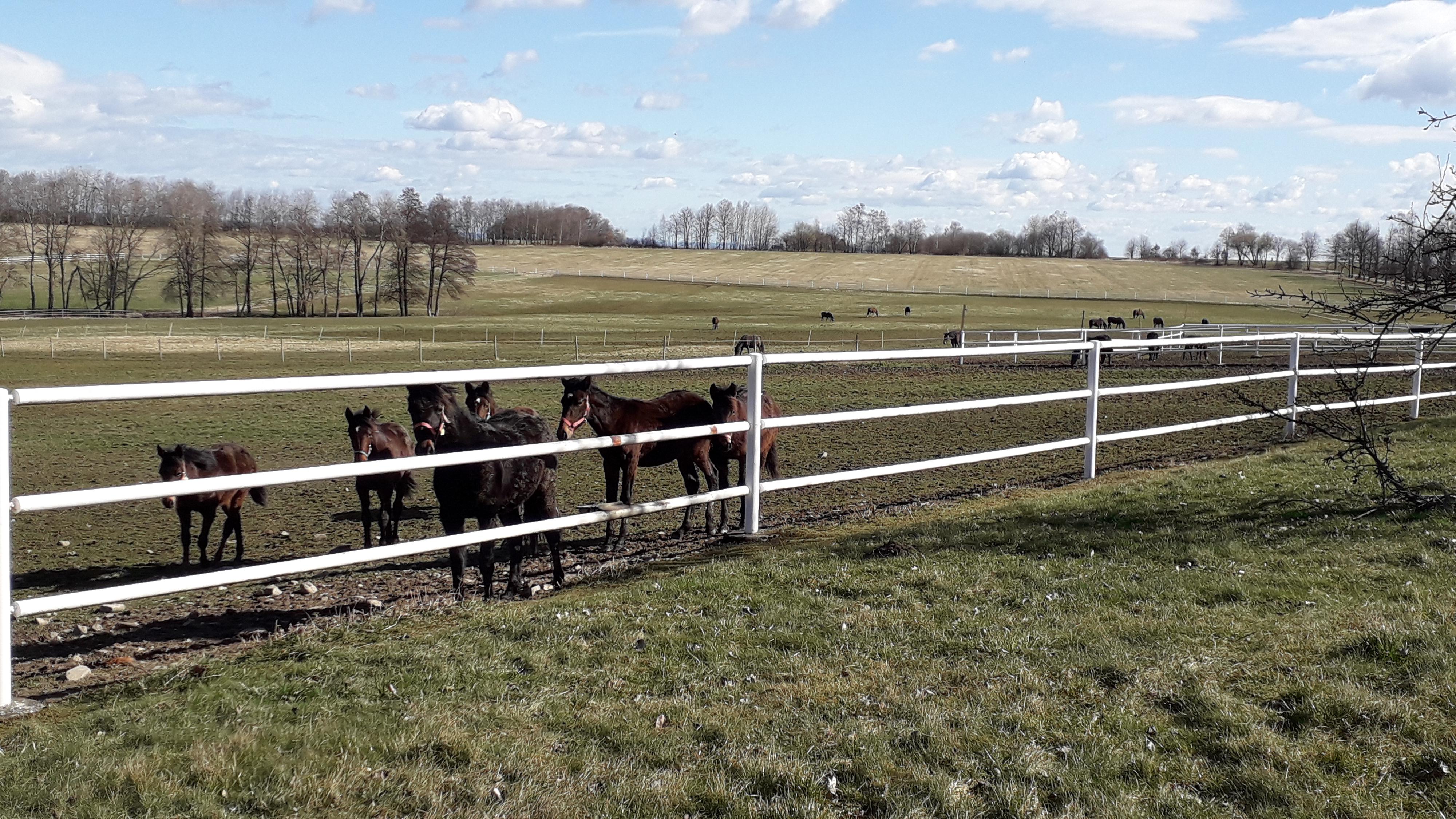 Agro - Hochstaffl, s.r.o. foto 1