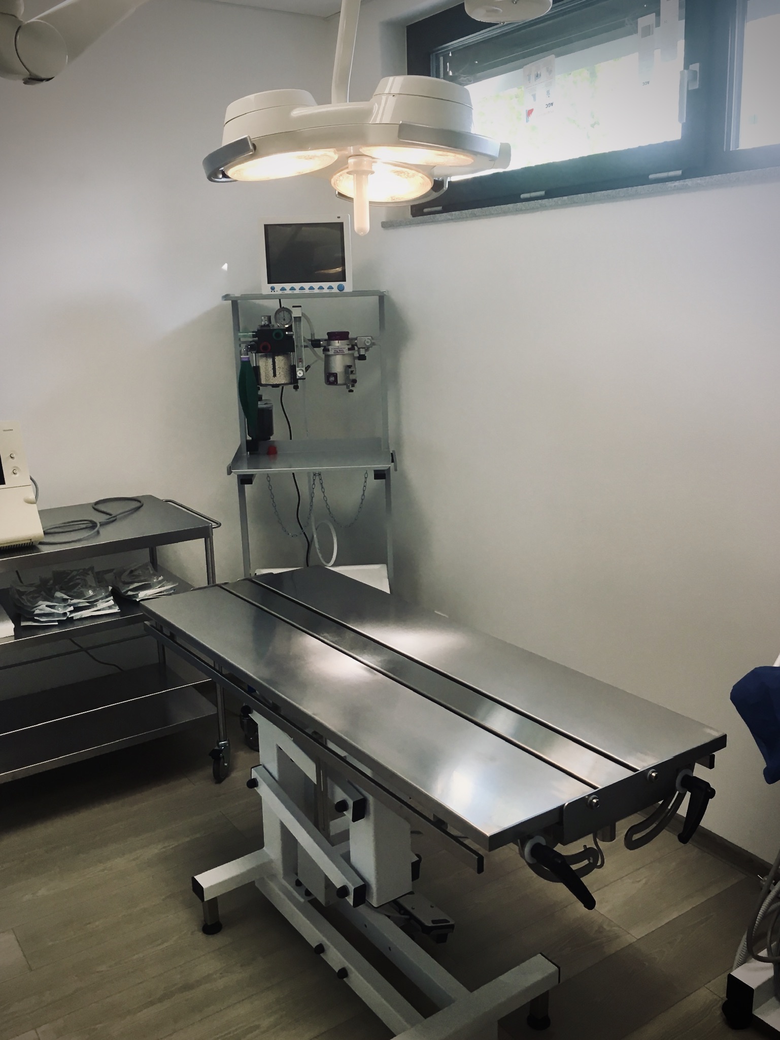 Veterinární klinika Jitřní - Černošice foto 5